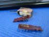 DSC04065.JPG