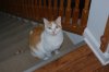 DSC_0007_EVAN.jpg