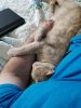 20170607_182220.jpg 20170607_182220.jpg