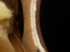 DSCN1551.JPG