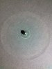 IMG_20170618_220831.jpg