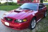 01 Mustang New 001.jpg