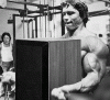 arnold980.gif