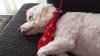 20170701_125413.jpg