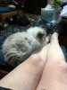 TeddyPaws_4227.jpg