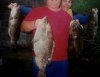 big grouper.jpg