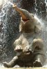 Happy Elephant.jpg