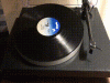IMG-7414_gif.gif