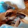 IMG-20170505-WA0000.jpg