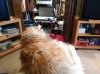 IMG_20171015_205610.jpg