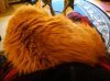 IMG_20171118_095444.jpg