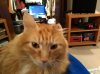 IMG_20171119_204714.jpg