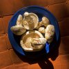 Matsutake12-3-17sm.jpg
