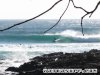 photo_surf_Australia_QLD_Sunshine_Coast_t_tree_bay_44f2977c4f63a.jpg