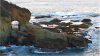 thegrottoarch.png thegrottoarch.png