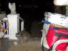 DSCN0435.JPG