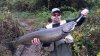 salmon.jpg