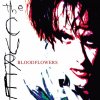 The-Cure_Bloodflowers.jpg