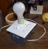 mydimbulb.JPG