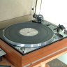 ray-1019
