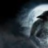 TempestWolf