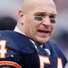 BearsFan