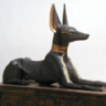 anubis44