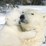 happybear