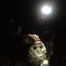 Strix