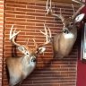 bowhunter59