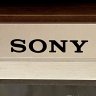 sony ps 2000