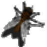 jbrose