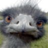 SteveG