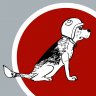 Rocketdog