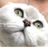 Thumbie