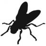 Flyman