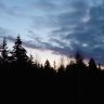 OskarBas1