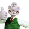 DocBruce