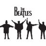 Beatle_Scott