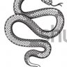 solid_snake