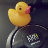 Squeaky Duck