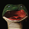 ASparrow