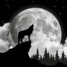 J_Nightwolf