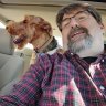 BearDad