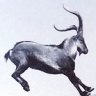 Luarnet