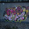 bonesbiggis