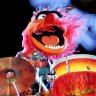 Drumhog