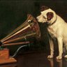Nipper