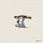 fivemeters
