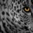 le0pard13